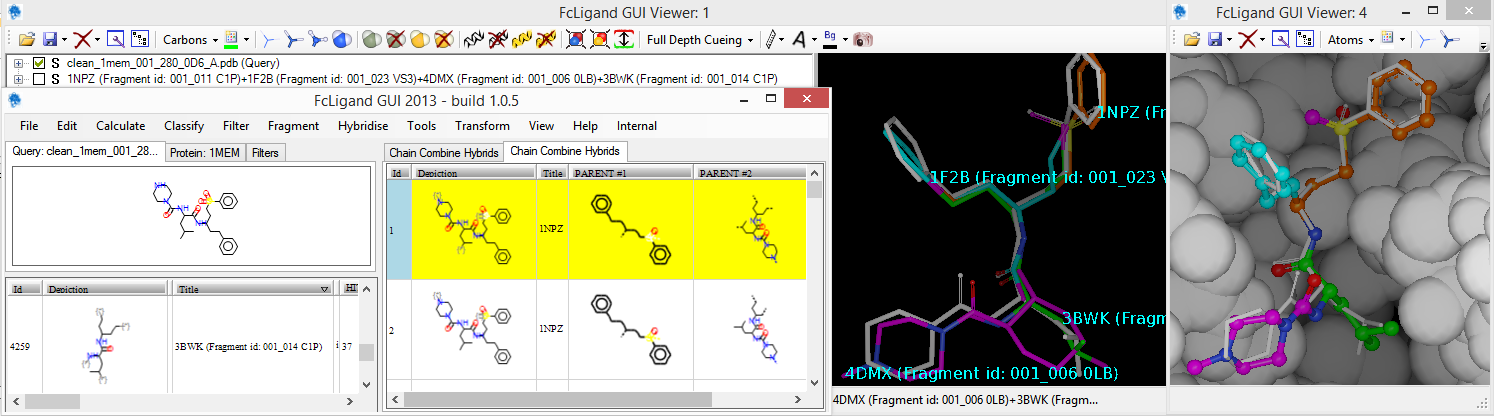 FcLigand_4hybrids_to1MEM